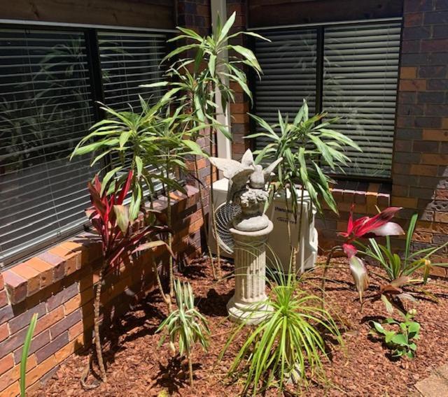Montville Holiday Apartments Екстериор снимка